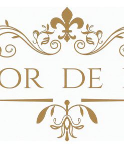 c3105cfa39eb0a28ec4b90ccd2c090c8