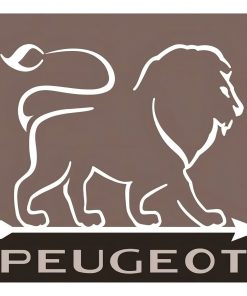 70307b985344623d2d8f4d90b058c99e