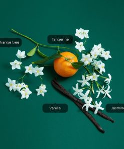 223b516adde417945b2cea707c28d9cc