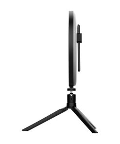 1261d92143a3792b753f333deecda642