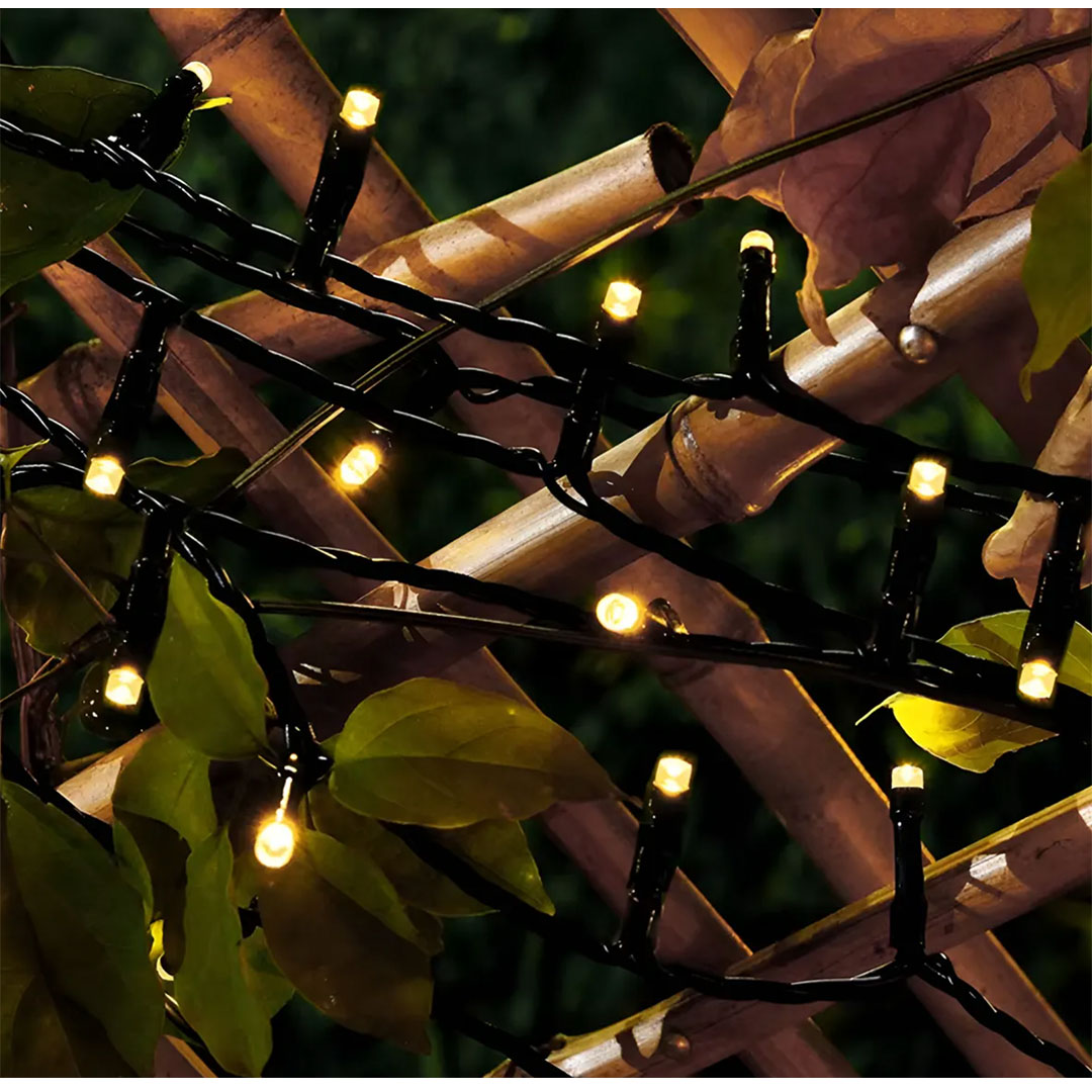 9c4fb4f0e441cc602c57384c4efd3d29