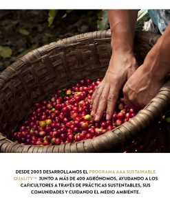 8b5940072d75ff06f7676975ae78d8e0